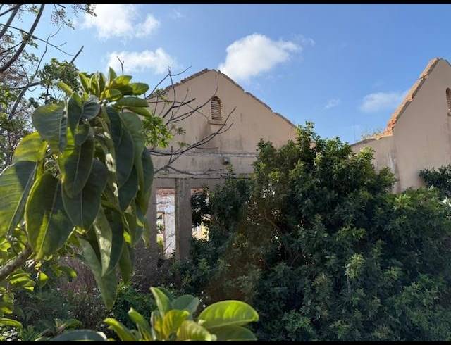 BUSINESS FOR SALE IN WALMER